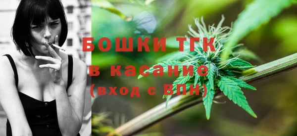 индика Армянск