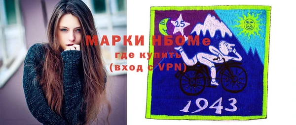 индика Армянск