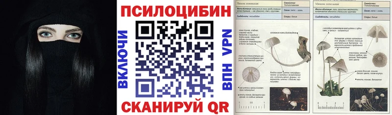 Псилоцибиновые грибы Magic Shrooms  Белогорск 
