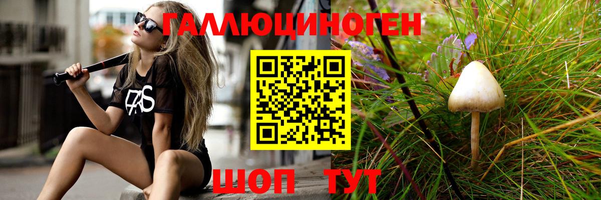 Белогорск  Псилоцибиновые грибы мицелий  Вход с VPN 